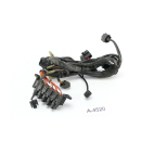 Ducati Multistrada 1000 DS 2003 - Headlight wiring...