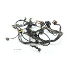 Ducati Multistrada 1000 DS 2003 - Wiring harness A4512