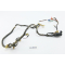 Honda XL 600 R PD03 1983 - wiring harness A4543