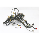 Honda GL 1200 A Goldwing SC14 1984 - Mazo de cables A225C