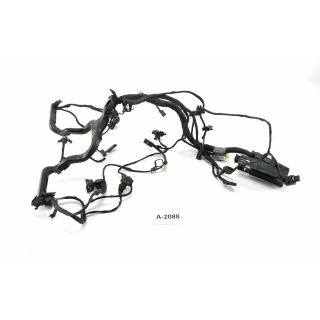 BMW R 1200 GS Adventure R12W 2014 - Engine wiring harness A2088