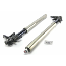 Ducati 1098 H7 2007 - Fork tubes shock absorbers A109F