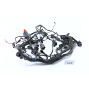 Triumph Tiger Explorer V13VG 2012 - Wiring harness A2C