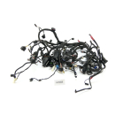 BMW R 1200 RT K26 2005 - Mazo de cables A298B