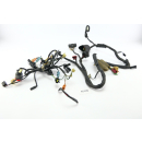 Honda CBR 600 F4 PC35 - Mazo de cables A6105